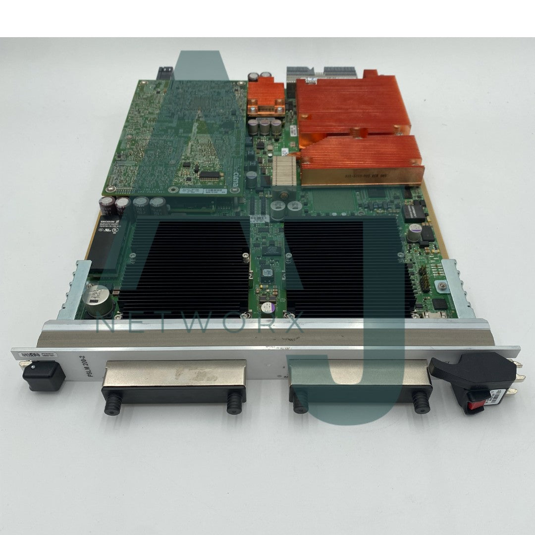 8700,PSLM-200-2,(2) 100GIGE CFP LINE MODULE